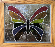 Load image into Gallery viewer, ROY G. BUTTERFLY!  Rainbow-Colored Butterfly
